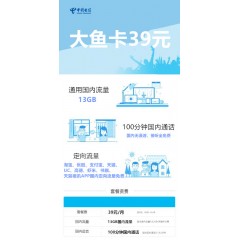 中國電信  大魚卡39元套餐【下訂單，中國郵政快遞包郵到家?！? width=