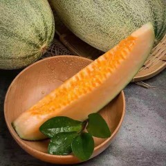 一只長(zhǎng)在吐魯番的哈密瓜，西州蜜25號(hào)又叫“酥蜜25號(hào)”濃郁香甜，甜度驚人?。。? width=