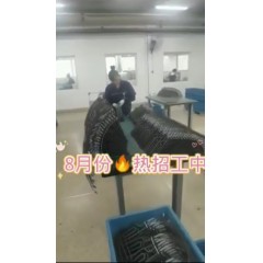 浙江江山電熱棒廠  長白班～兩班倒   男18-55，女18-50周歲