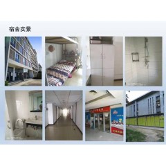 北京電子廠  招聘  女158以上，男165以上，年齡16-40歲