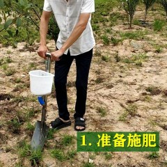農(nóng)用工具 果樹(shù)施肥神器 硬地追肥槍 人工鐵鍬撒化肥 果園小型農(nóng)業(yè)機(jī)械