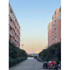 南京中電熊貓晶體  招聘：男18-35周歲，女18-40周歲。